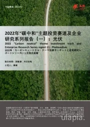2022年“碳中和”主题投资赛道及企业研究系列报告（一）：光伏