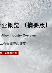 2022年中国镁合金行业概览（摘要版）