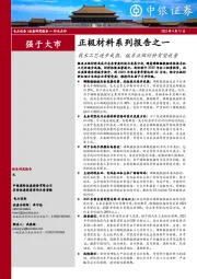 正极材料系列报告之一：技术工艺逐步成熟，锰系正极材料有望放量