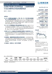 商贸零售行业点评报告:主要城市奥密克戎疫情复盘,上海新增首降下关注消费和出行板块投资机会