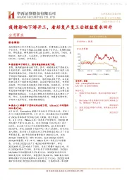 公用事业：疫情影响下游开工，看好复产复工后锂盐需求回升