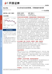 商业贸易行业周报:关注多地区发放消费券,有望提振终端消费