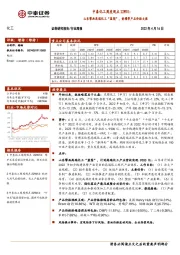 中泰化工周度观点22W15：山东擎画高端化工“蓝图”，黄磷等产品价格大涨