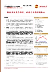 电力设备新能源行业周报：短期风险充分释放，珍惜中长期布局机会