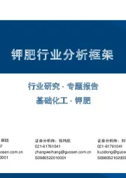 钾肥行业分析框架