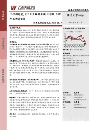 计算机行业周观点：工信部印发《工业互联网专项工作组2022年工作计划》