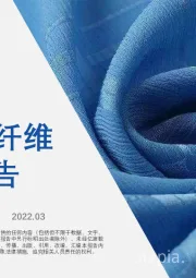 2022年中国化学纤维行业短报告