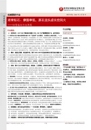 培育钻石行业深度：渗透率低，原石龙头成长空间大