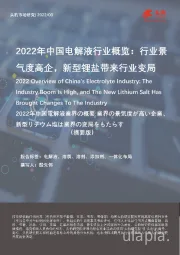 2022年中国电解液行业概览：行业景气度高企，新型锂盐带来行业变局（摘要版）