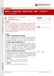 半导体行业深度报告：隔离芯片：电路安全保障，新能源产业驱动“隔离+”产品空间上行