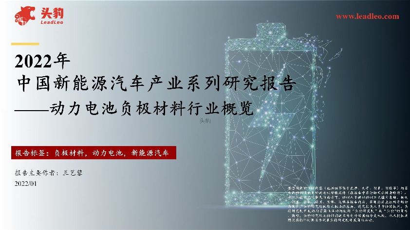 2022年中国新能源汽车产业系列研究报告 ——动力电池负极材料行业概览