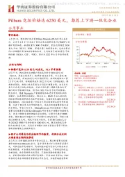 公用事业：Pilbara竞拍价格达6250美元，推荐上下游一体化企业