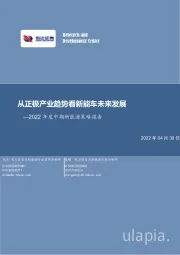 2022年度中期新能源策略报告：从正极产业趋势看新能车未来发展