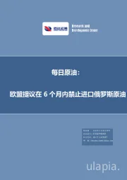 每日原油：欧盟提议在6个月内禁止进口俄罗斯原油