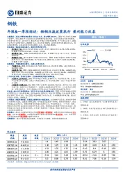 钢铁年报&一季报综述：粗钢压减政策执行 盈利能力改善