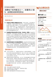 消费电子系列报告之一:折叠屏从1到N,业绩驱动结构性机会