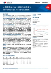 大国碳中和之电力现货市场专题1：现货市场推动价格发现，峰谷价差大促进储能发展