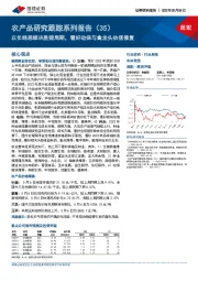 农产品研究跟踪系列报告(35):以长线思维决胜猪周期,看好动保与禽龙头估值修复