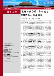 电新行业2021年年报与2022年一季报综述：行业景气兑现，业绩高速增长