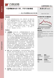化工行业周观点:六氟磷酸锂均价下滑,PVDF价格维稳