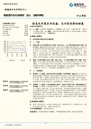 新能源汽车行业研究：欧美电车需求仍旺盛，交付受阻影响销量