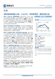 汽车行业专题研究：2021&2022Q1总结：自主分化、新能源强势，静待供给改善