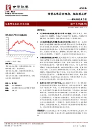 锂电池行业月报：销量总体符合预期，短期看反弹