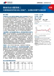 粮食安全主题深度二:印度高温或将导致当地小麦减产,全球粮价高景气有望延续