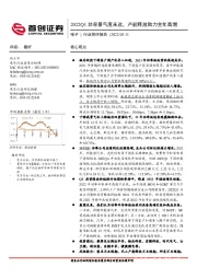 电子行业简评报告：2022Q1功率景气度未改，产能释放助力全年高增