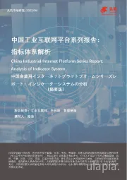 中国工业互联网平台系列报告：指标体系解析