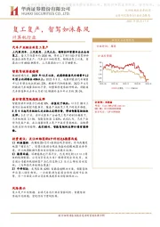 计算机行业：复工复产，智驾如沐春风