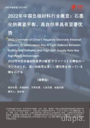 2022年中国负极材料行业概览:石墨化供需紧平衡,高自供率具有显著优势