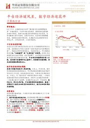 计算机行业：平台经济暖风至，数字经济迎花开