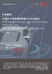 行业概览：2022年中国低端新能源汽车行业报告