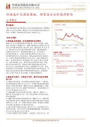公用事业：斯诺威矿业拍卖落锤，锂资源企业价值待重估
