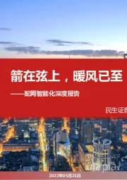 配网智能化深度报告:箭在弦上,暖风已至