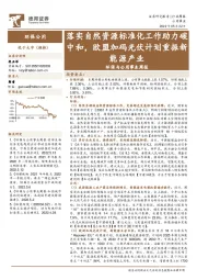 环保与公用事业行业周报:落实自然资源标准化工作助力碳中和,欧盟加码光伏计划重振新能源产业