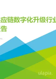 中国供应链数字化升级行业研究报告