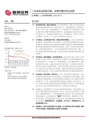 公用事业行业简评报告：一年来扰动因素不断，长期仍看好风光发展