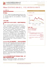 公用事业：Pilbara竞拍价格达6586美元，开启上游资源为王的时代