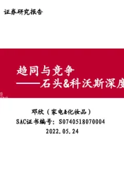 石头&科沃斯深度对比展望：趋同与竞争