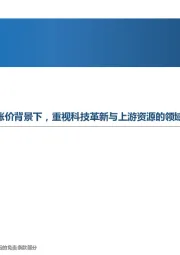 新能源行业周报：光伏与氢能的开篇：在能源涨价背景下，重视科技革新与上游资源的领域投资价值