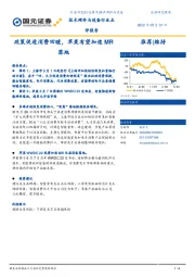 技术硬件与设备行业点评报告：政策促进消费回暖，苹果有望加速MR落地
