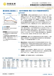 新能源发电行业周度投资策略：硅片价格维稳 隆基10GW单晶组件项目开工