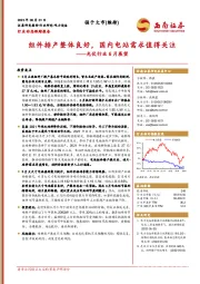 光伏行业6月展望：组件排产整体良好，国内电站需求值得关注