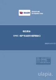 每日原油:OPEC+增产无法弥补俄罗斯缺口