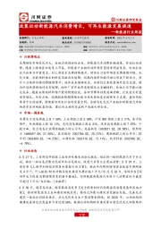 新能源行业周报：政策拉动新能源汽车消费增长，可再生能源发展提速