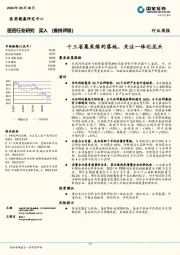 医药行业研究：十三省集采续约落地，关注一体化龙头