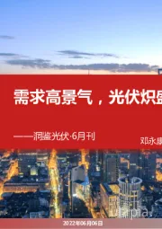 洞鉴光伏·6月刊：需求高景气，光伏炽盛时