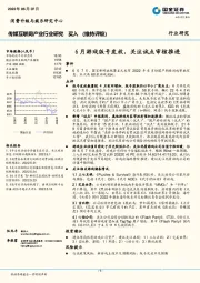 传媒互联网产业行业研究：6月游戏版号发放，关注试点审核推进